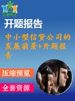 中小型信貸公司的發(fā)展前景+開題報(bào)告